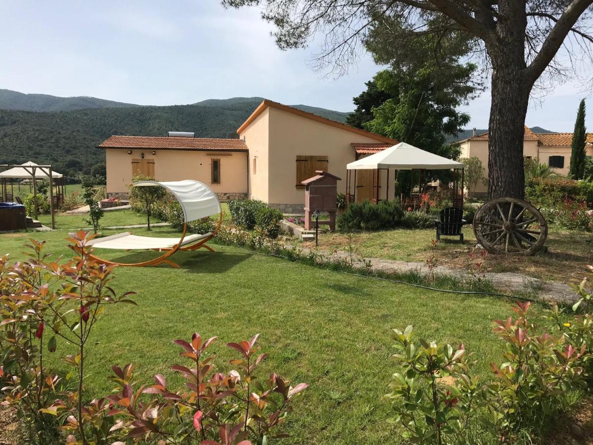 4 Hotel Centrali Top in Costa della Maremma da Non Perdere